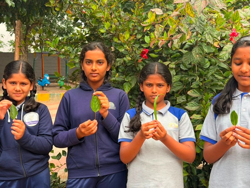Malnad International Hippocampus School - Image 7